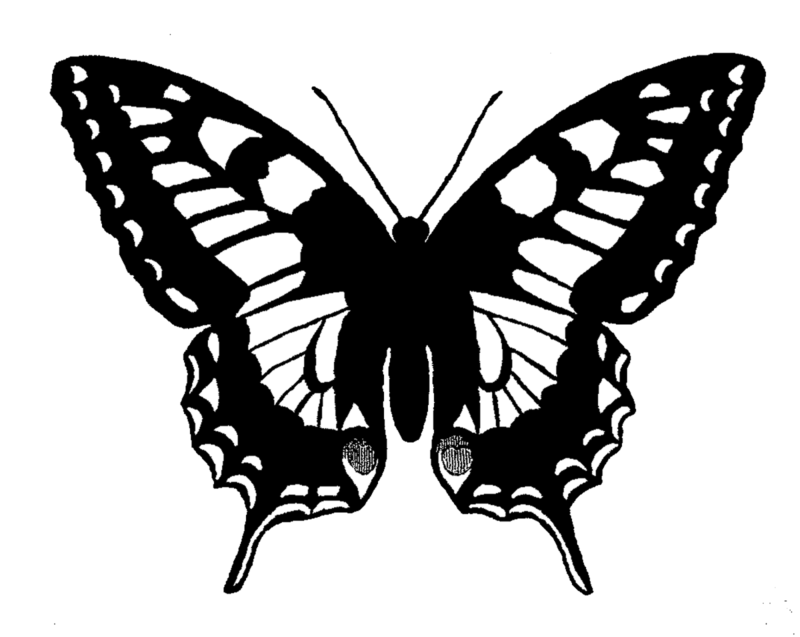 The Graphics Monarch Free Butterfly Silhouette Image Grayscale Digital  The Graphics Monarch Free Butterfly Silhouette Image Grayscale Digital