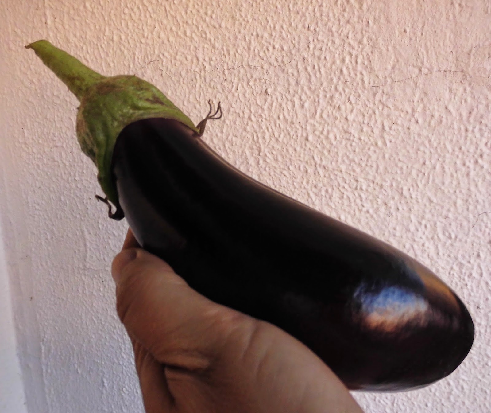 MI PRIMERA BERENJENA | Un Huerto En El Patio