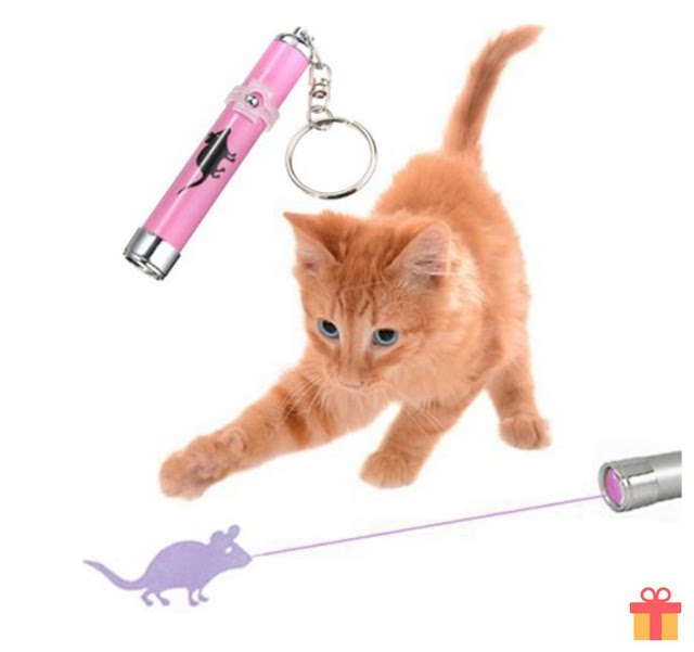 Guide to the Many Different Kinds of Cat Toys