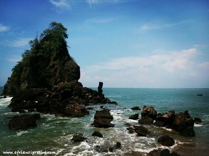 Serangan Ulat Bulu di Pantai Karang Agung, Kebumen