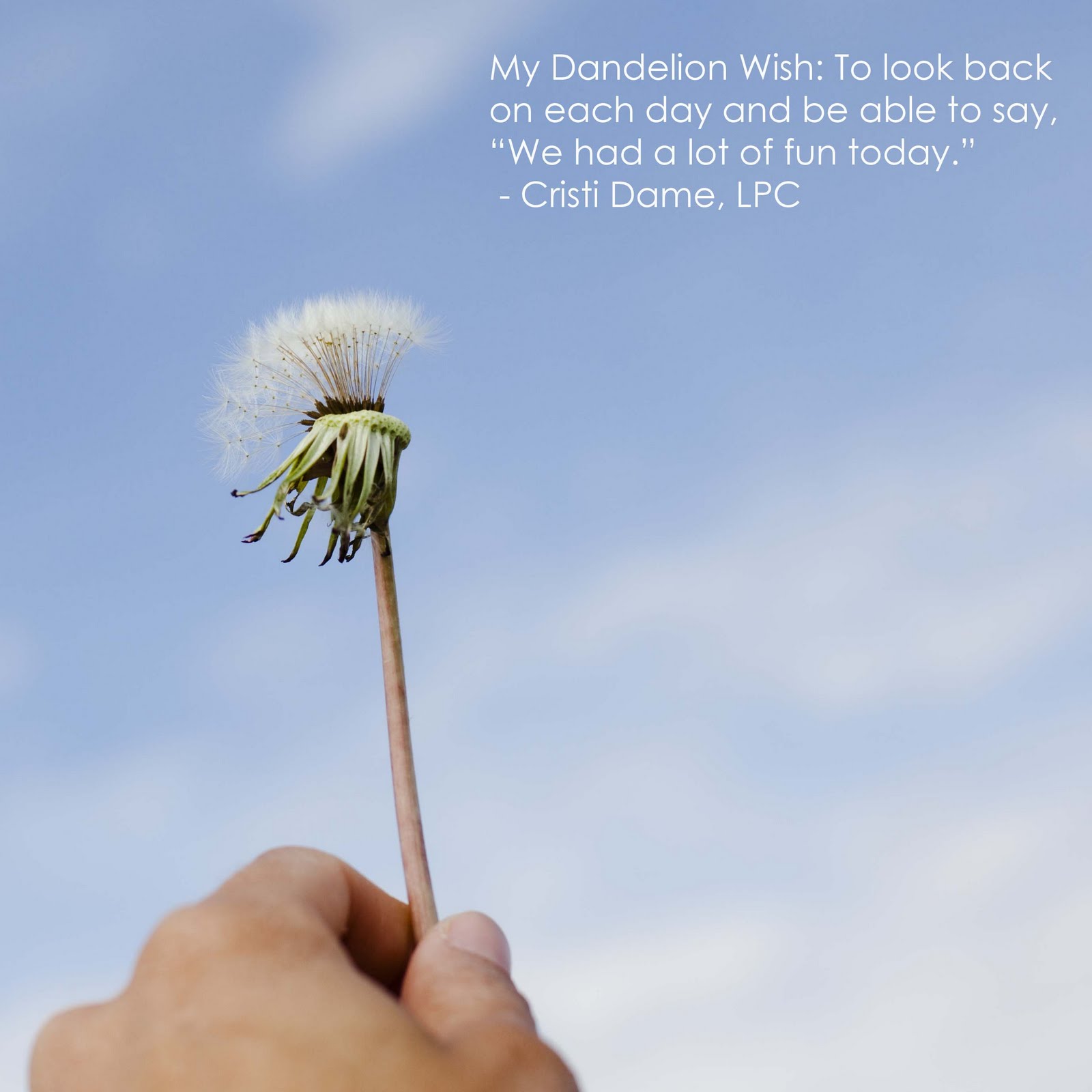 The Diary of a Dame The Dandelion Wish