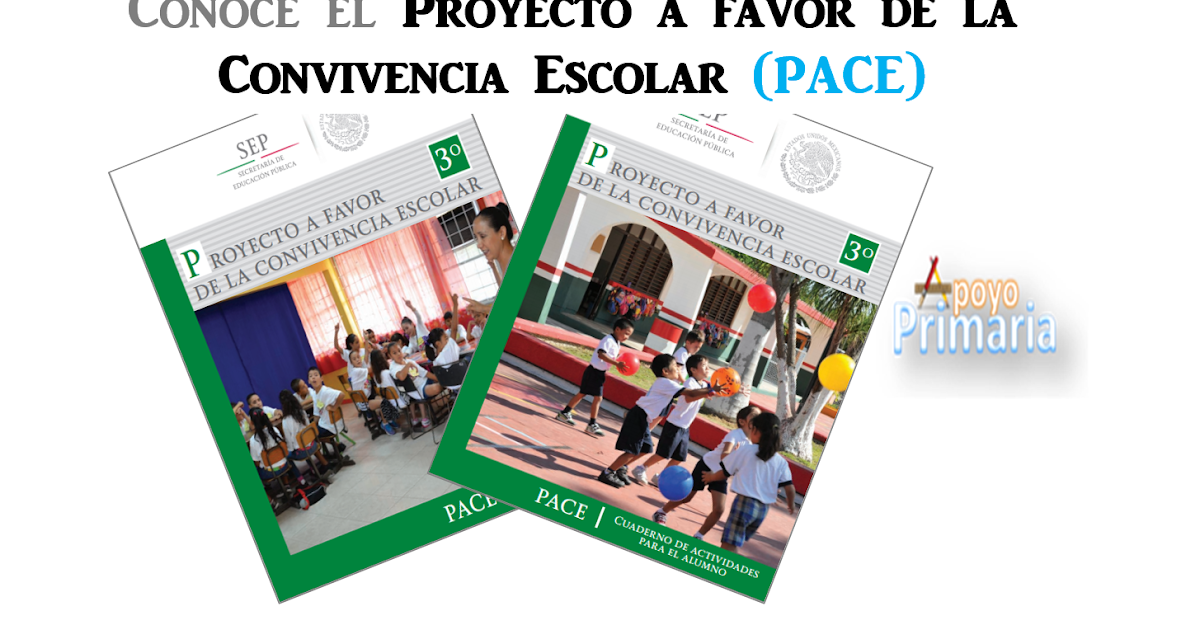 Proyecto A Favor De La Convivencia Escolar Pace Pdf