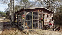 chicken coops barn barns favorite 1000 runs