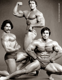 Ed Corney, Arnold Schwarzenegger and Franco Columbo ● www.robbyrobinson.net/dvd_built.php ●