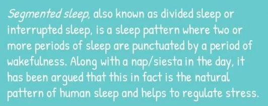Divided sleep theory