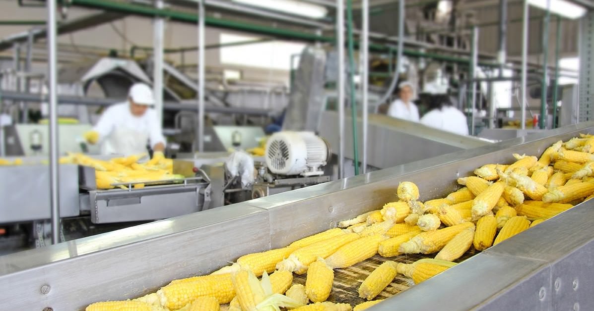 SAFDYNAMICS of Food Science and Technology Applications of vitamins