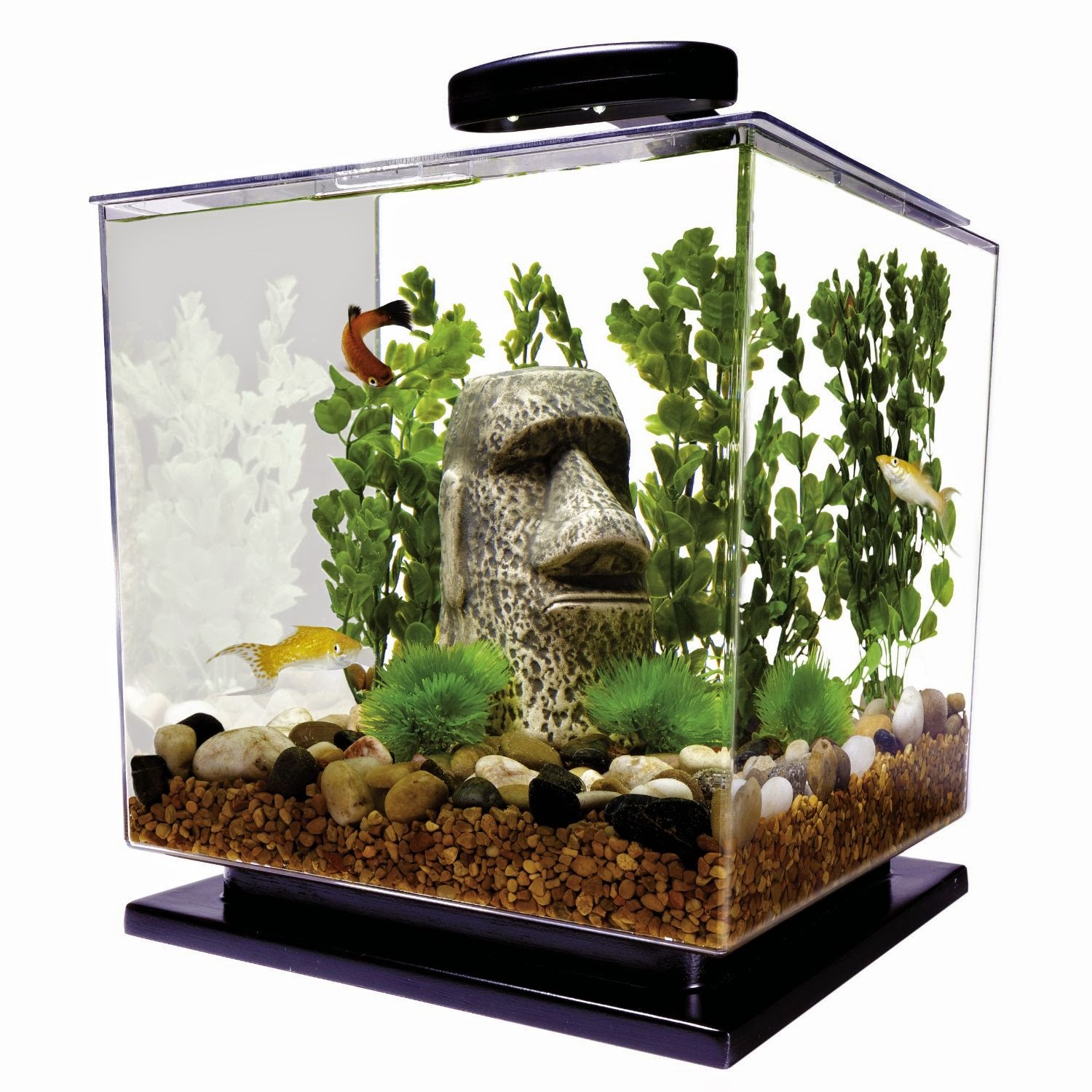 Best Betta Fish Tank Decorations 1pcs mini betta fish tank with small lights desk ornament aquarium