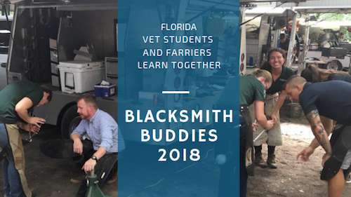Blacksmith Buddies 2018 clinic