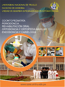 Unidad de Segunda Especialización en Estomatología - USEE