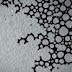 Ferrofluido e bolhas