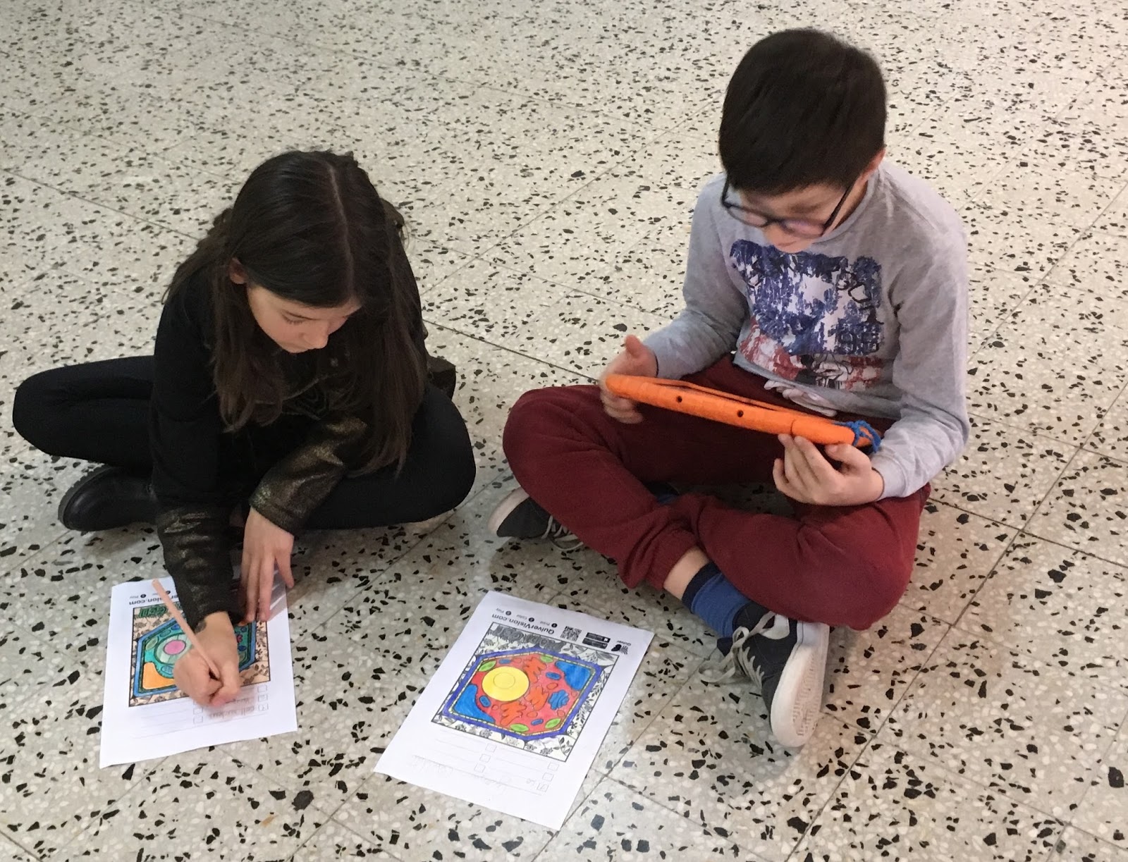 Modello Didattico Cellula Vegetale 3B Scientific - Ingrandimento 10.000:1, Dimensioni 20x11.5x33 Cm - Foto 8