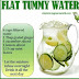 Flat Belly Detox can cover what you need for losing the weight
