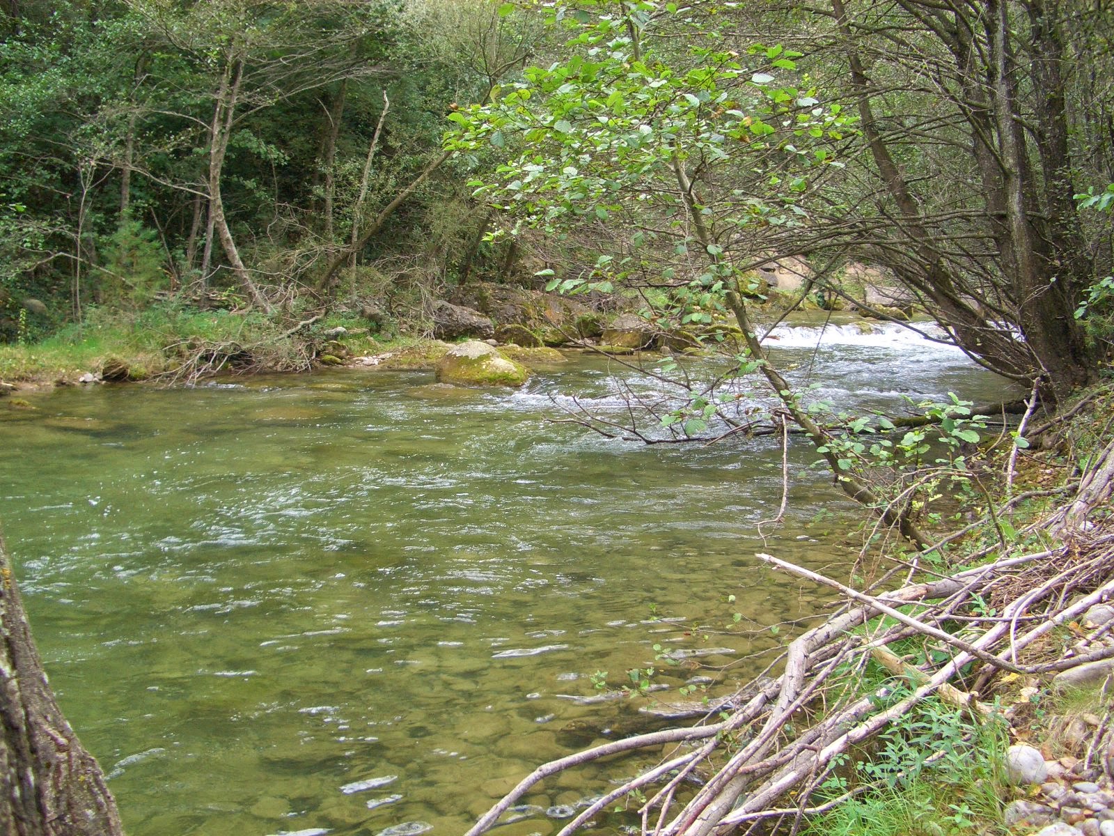 Форелевые реки