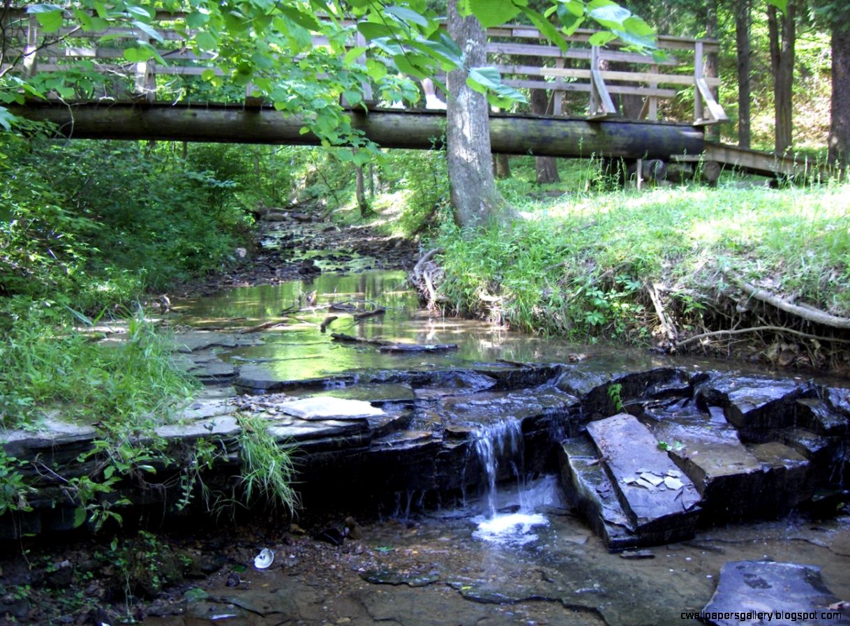 Wildlife Reserves Wallpapers Gallery