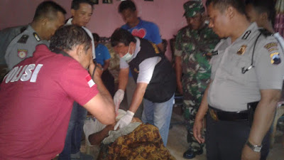 TEBANG KAYU, SUPADI KESETRUM LANGSUNG TEWAS