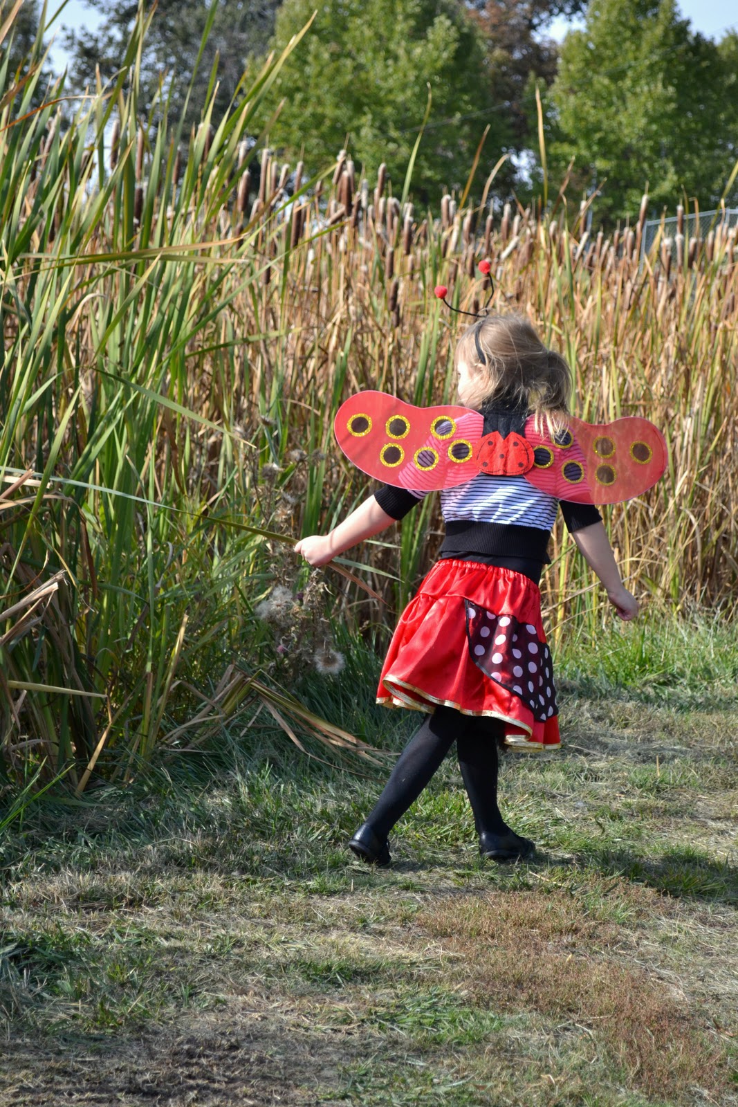 The Jacobs Clan: Ladybug Friday