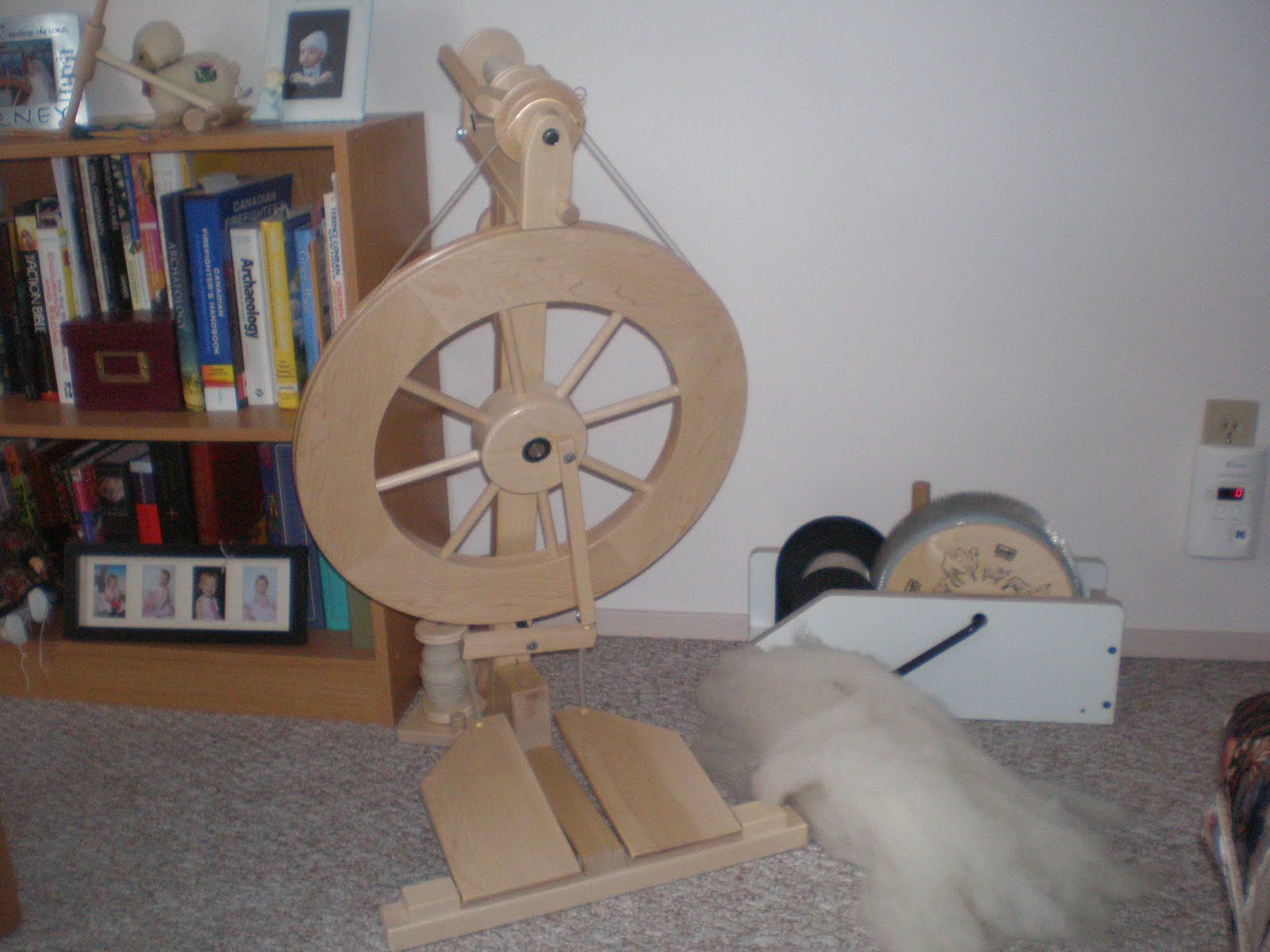 Rapid Panda Express: spinning wool