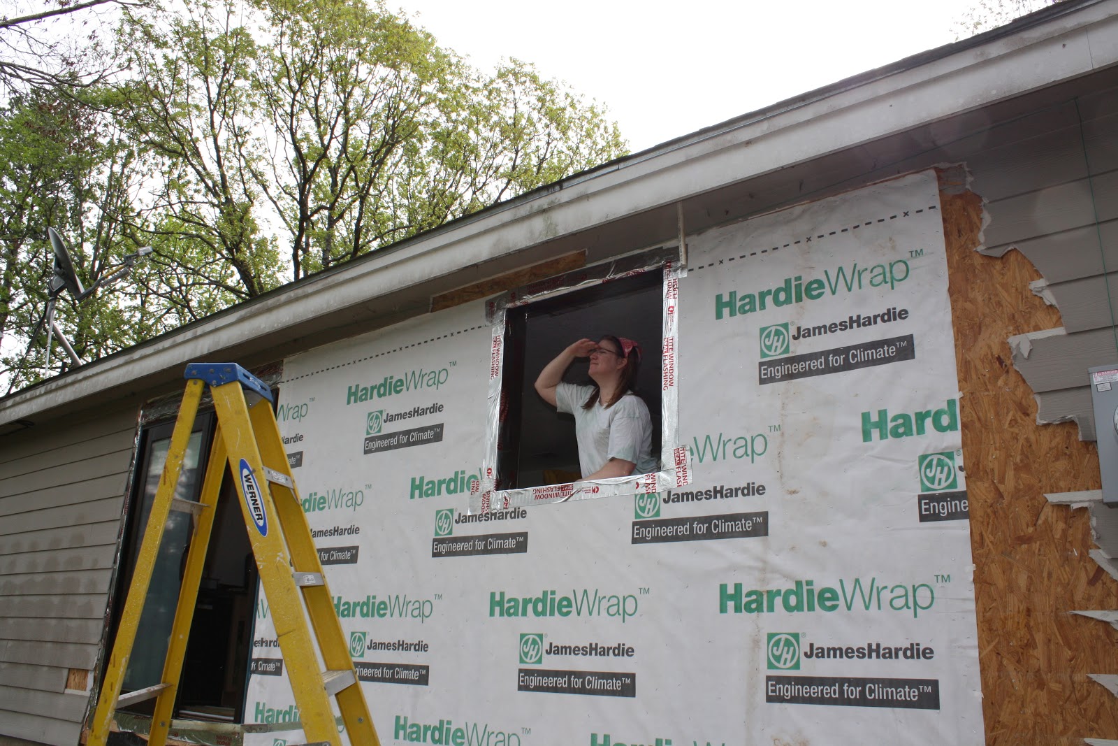 The House is Going to be Great: Garden Window