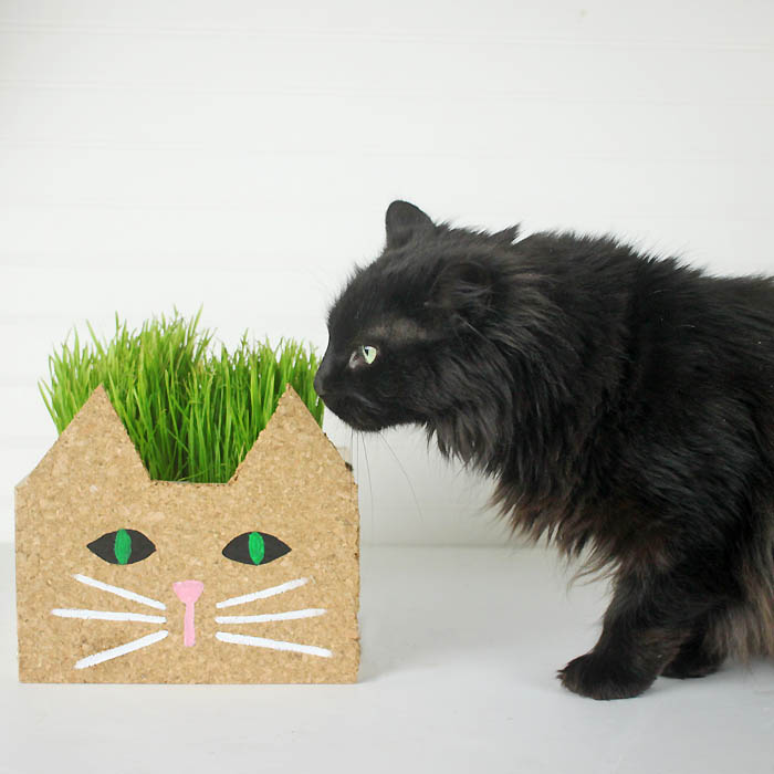 Cat Planter DIY Gina Michele