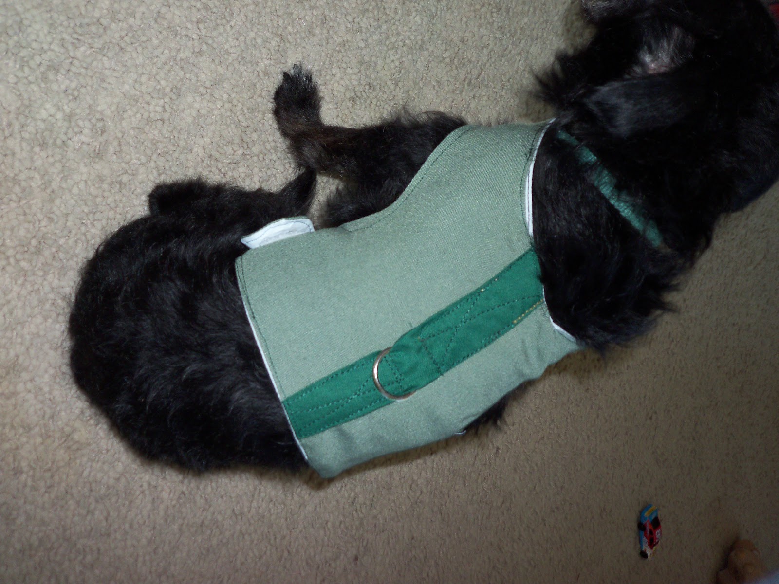 Homeschool Smarts Homemade dog Harness