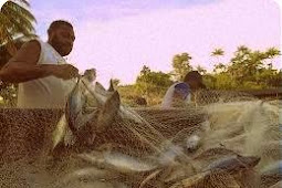 Nelayan akan Diberikan Kemudahan Modal lewat Sertifikasi Hak Atas Tanah 