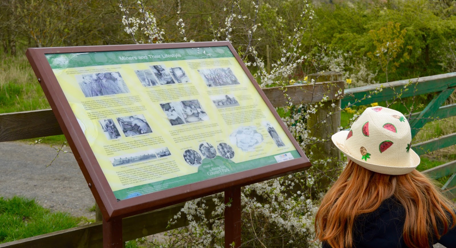 Rising Sun Country Park A Pushchair & Dogfriendly Walk in North