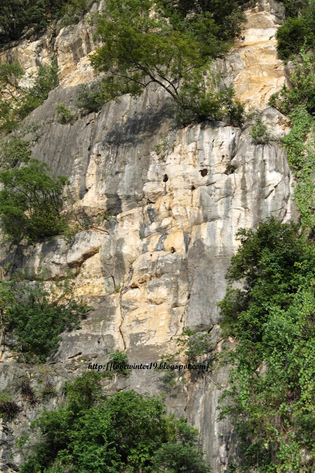 my-palace-my-symphony-of-life-and-the-rhythm-in-my-heart-sight-seeing