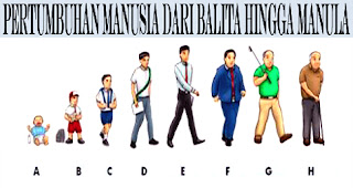 Hasil gambar untuk pertumbuhan manusia dari bayi hingga dewasa
