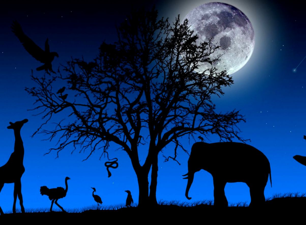 HD Nature Wallpapers Pack   Wallpaper Zone