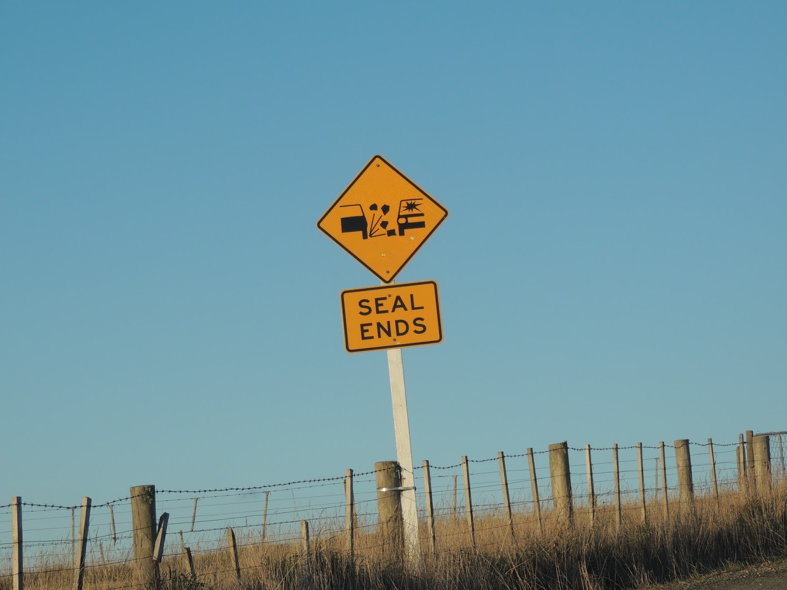 THE ROAD TAKEN : Hoiho: Yellow-Eyed Penguins