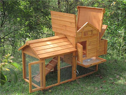 chicken coop inside build backyard nesting easy box rabbit saloon coops hutch poultry chickens designs open roof simple building frame