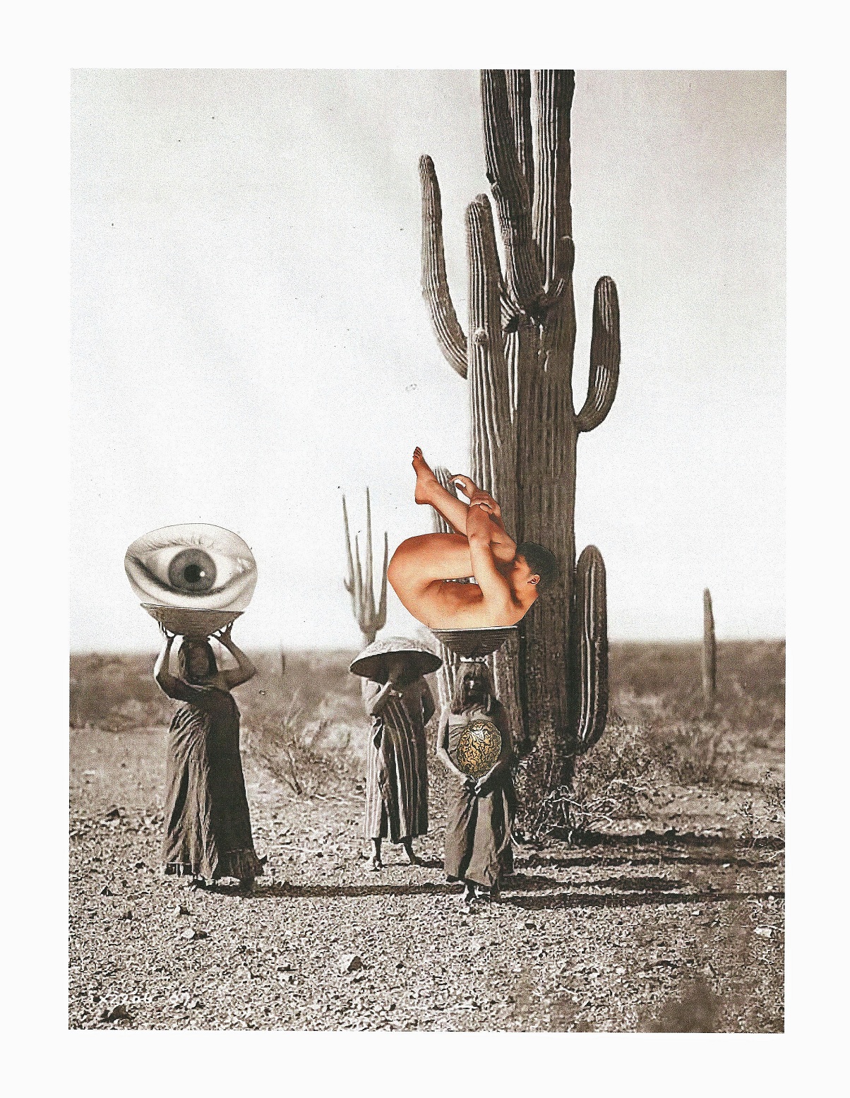 Regular Paper Fertility Rite (Saguaro)