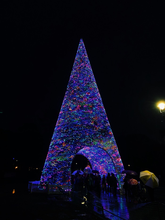 bournemouth christmas tree lights