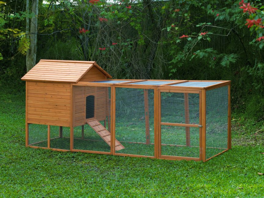 How To Build A Chicken Coop: Awesome Chicken Coops - How To BuilD A Chicken Coop BackyarD Chicken Coop Design