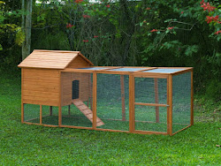 chicken build coop awesome coops plans