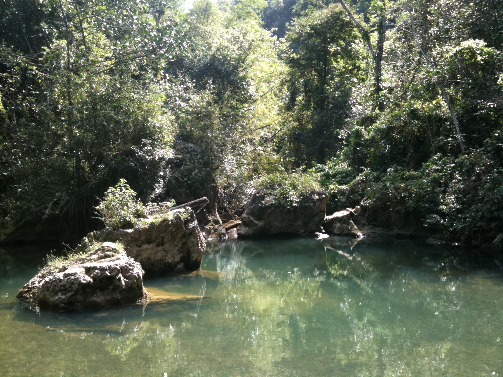 Transecto Socio-Ecológico del Karso Norteño: En defensa del Karso ...