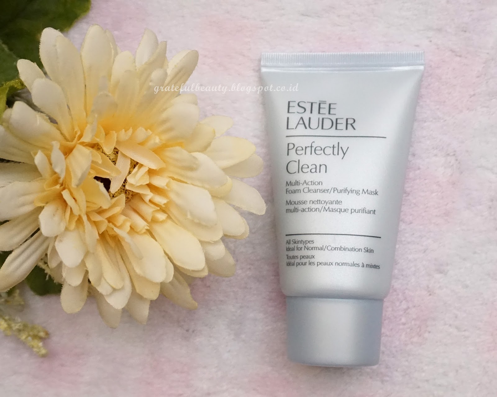 REVIEW : Estee Clean Multi-Action Cleanser/Purifying Mask - Tampil Cantik
