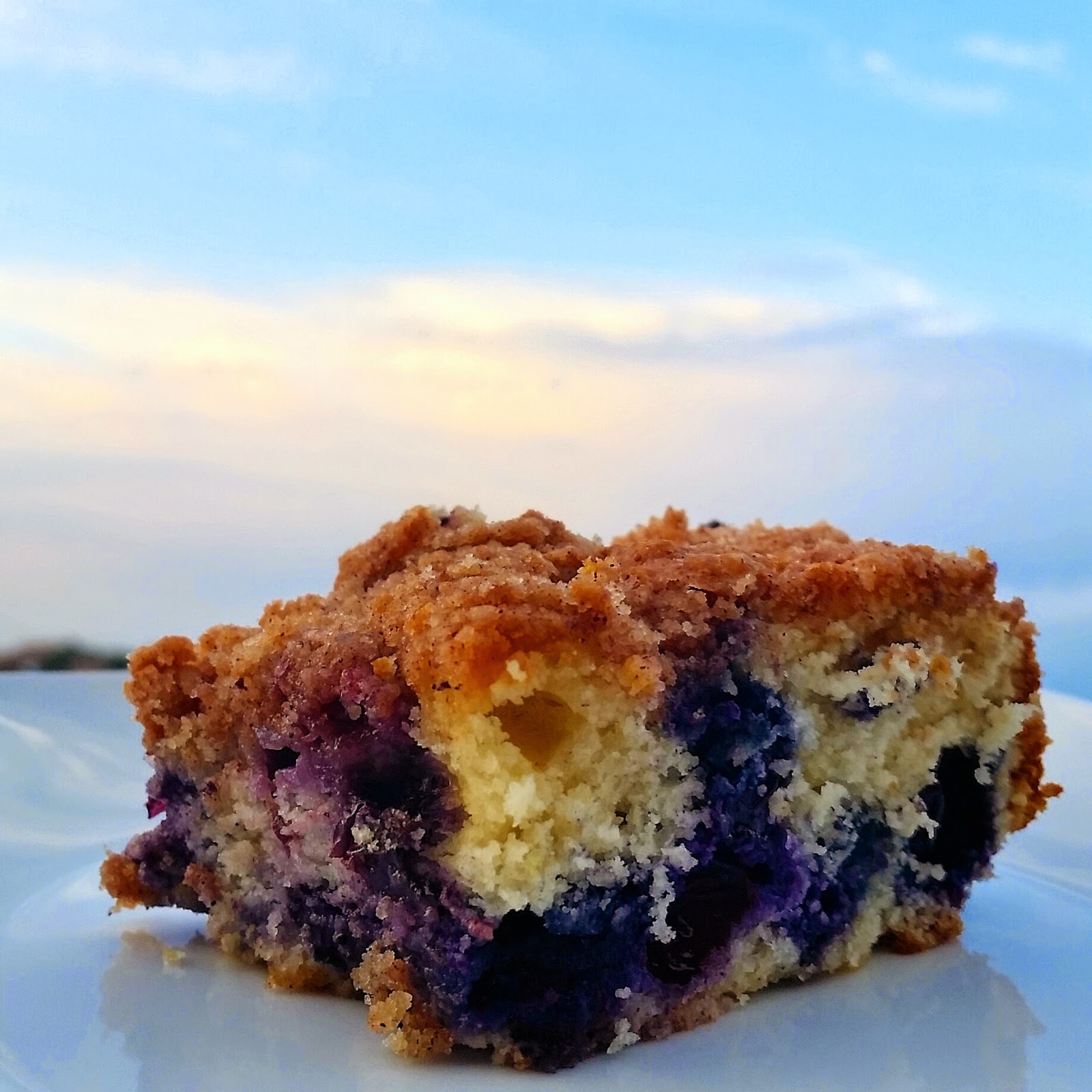 Once Upon A Plate... Possibly the Best Blueberry Crumb Cake. Ever.