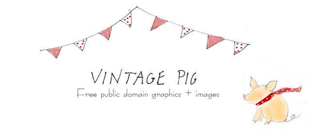 vintage pig clip art