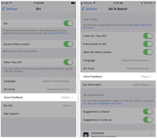 Cara Mematikan/Menonaktifkan/Mute Voice Feedback/Siri di iOS