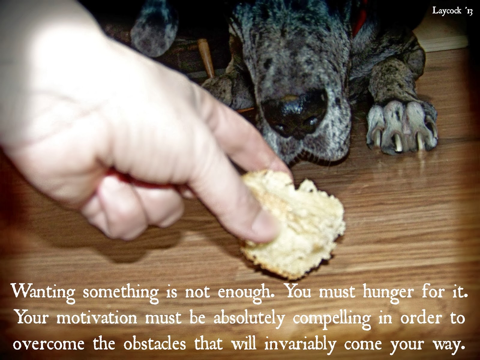 Goliath Foods to Avoid Giving your Dog