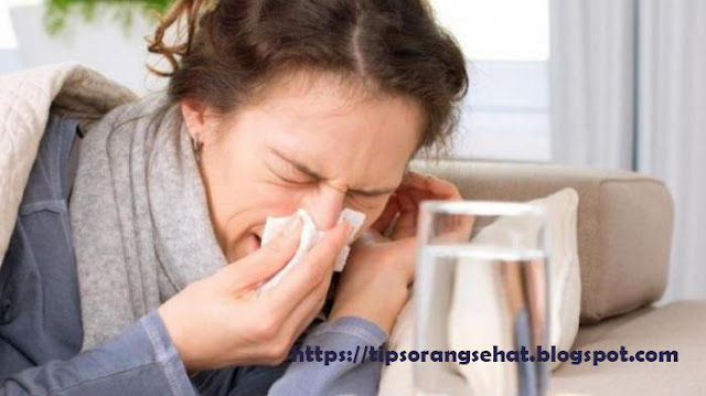 Tips Dan Cara Menjaga Tubuh Dari Serangan Flu