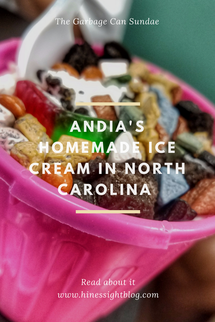 HinesSight Blog Ice Cream is not just for Summer Andia's Homemade
