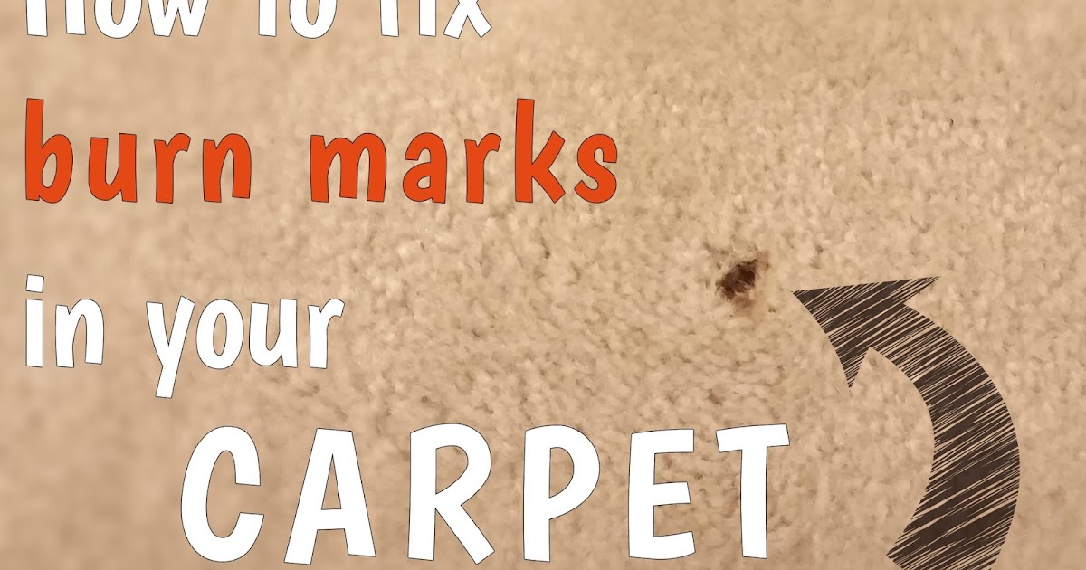 Fix Lovely How to fix burn marks in your carpet