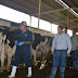 Capacitan a sector lechero en técnicas de inseminación artificial