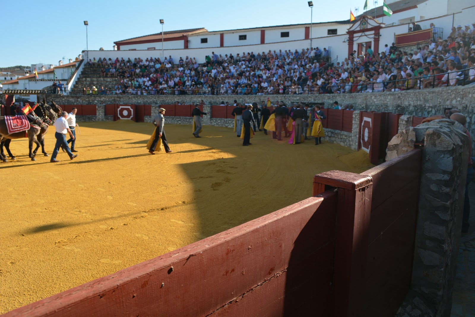 ALFONSO ALONSO INDULTA SU 1º NOVILLO