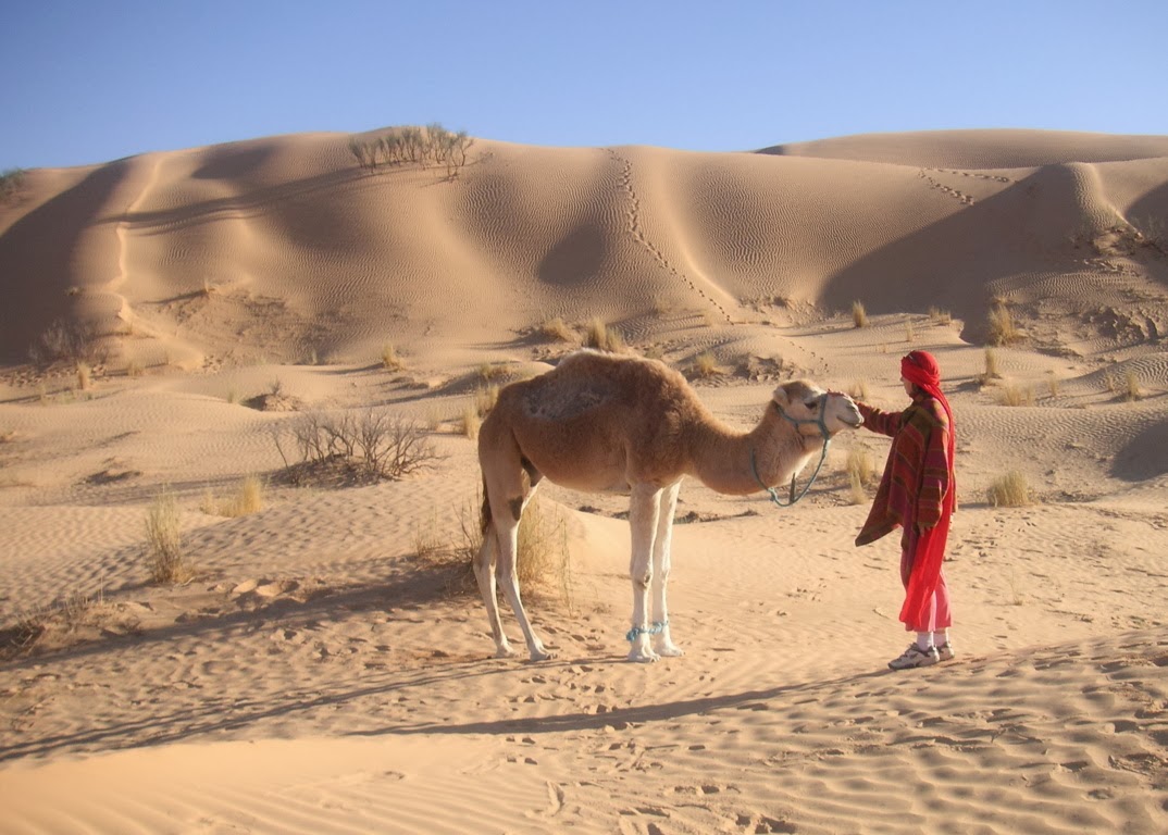 Kameltrekking für Frauen in Tunesien