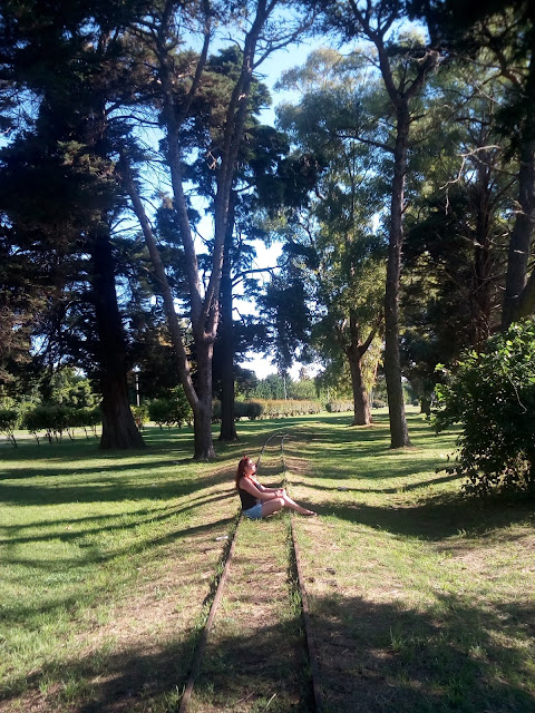 argentina, buenos aires, buenos aires ciudad, buenos aires turismo, ciudad de la plata, La plata, que hacer en buenos aires hoy gratis, la plata argentina turismo, lugares para salir en la plata,lugares para visitar el domingo, lugares en la plata para sacar fotos, lugares turisticos en la plata, republica de los niños la plata, republica de los niños precios 2019
