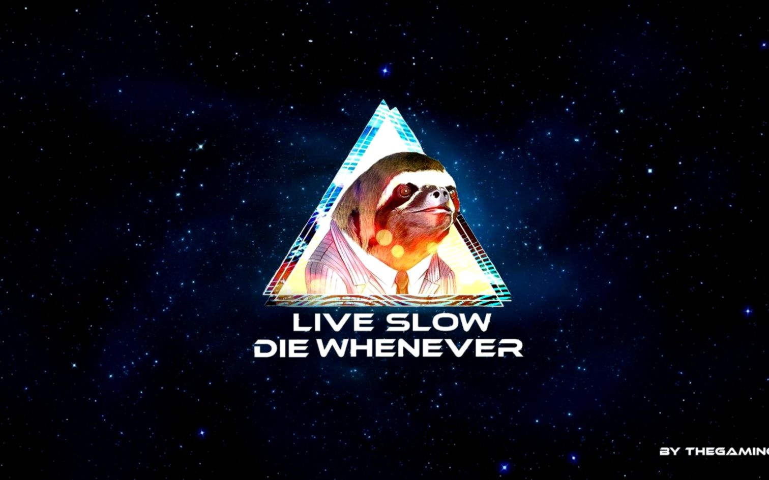 Sloth life 1080p  wallpapers