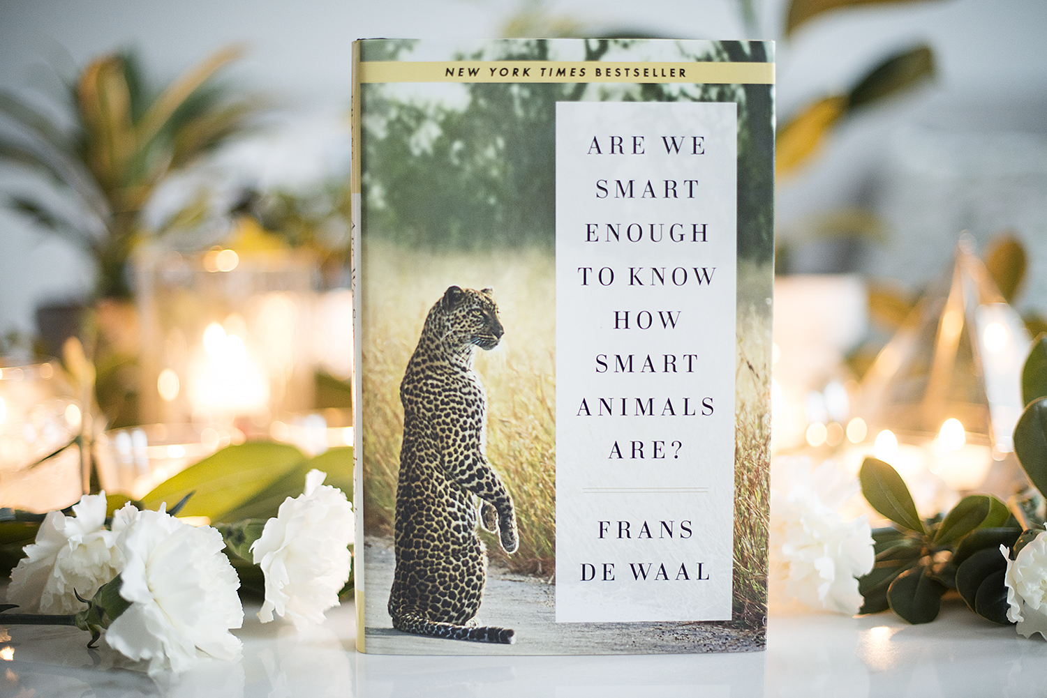 BOOK REVIEW ARE WE SMART ENOUGH TO KNOW HOW SMART ANIMALS ARE? BY FRANS DE WAAL The Book Castle